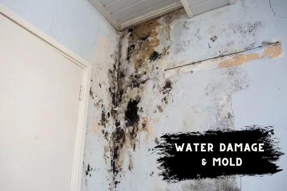 Water damage and molds
